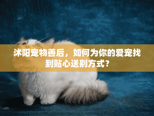 沭阳宠物善后，如何为你的爱宠找到贴心送别方式？