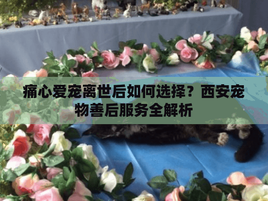 痛心爱宠离世后如何选择？西安宠物善后服务全解析