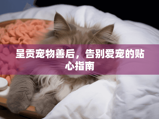 呈贡宠物善后,告别爱宠的贴心指南 呈贡宠物善后,告别爱宠的贴心指南
