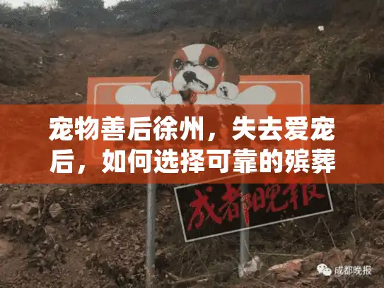 宠物善后徐州，失去爱宠后，如何选择可靠的殡葬服务？