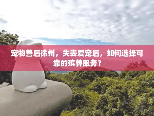 宠物善后徐州，失去爱宠后，如何选择可靠的殡葬服务？