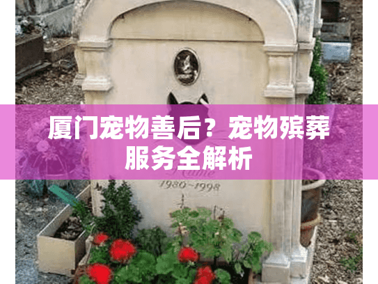 厦门宠物善后？宠物殡葬服务全解析