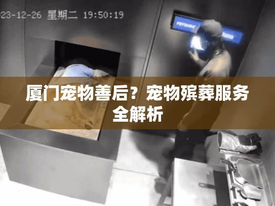 厦门宠物善后？宠物殡葬服务全解析