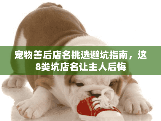 宠物善后店名挑选避坑指南,这8类坑店名让主人后悔 宠物善后店名挑选避坑指南,这8类坑店名让主人后悔