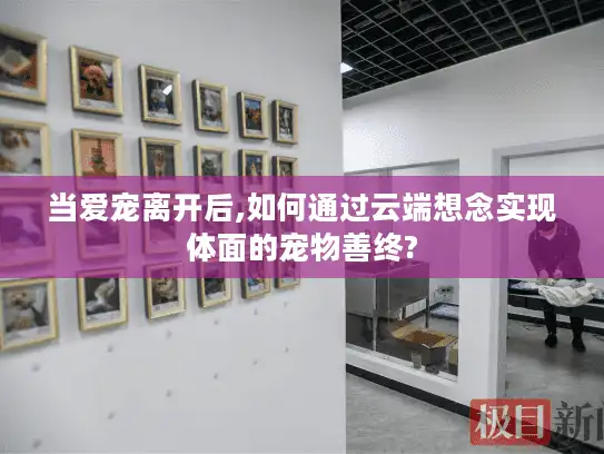 当爱宠离开后,如何通过云端想念实现体面的宠物善终?