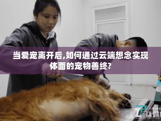 当爱宠离开后,如何通过云端想念实现体面的宠物善终?