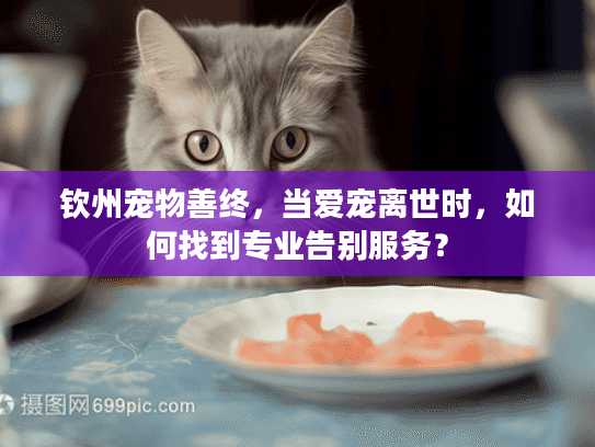 钦州宠物善终，当爱宠离世时，如何找到专业告别服务？
