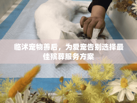临沭宠物善后,为爱宠告别选择最佳殡葬服务方案 临沭宠物善后,为爱宠告别选择最佳殡葬服务方案