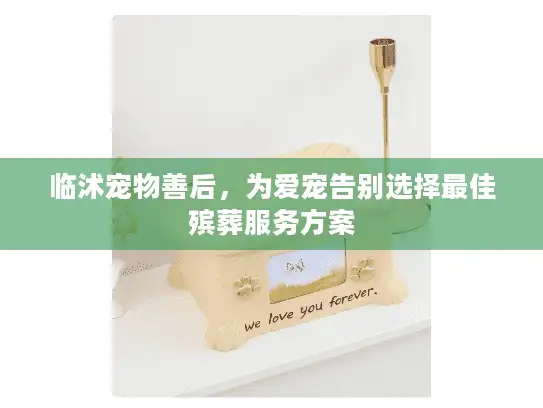 临沭宠物善后,为爱宠告别选择最佳殡葬服务方案 临沭宠物善后,为爱宠告别选择最佳殡葬服务方案