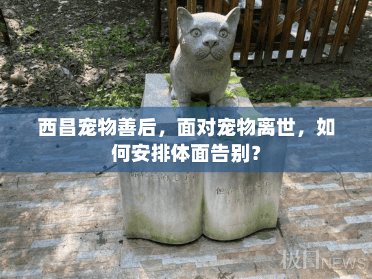 西昌宠物善后，面对宠物离世，如何安排体面告别？