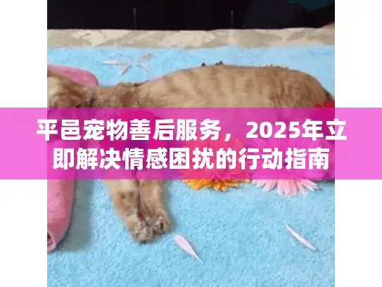 平邑宠物善后服务,2025年立即解决情感困扰的行动指南 平邑宠物善后服务,2025年立即解决情感困扰的行动指南
