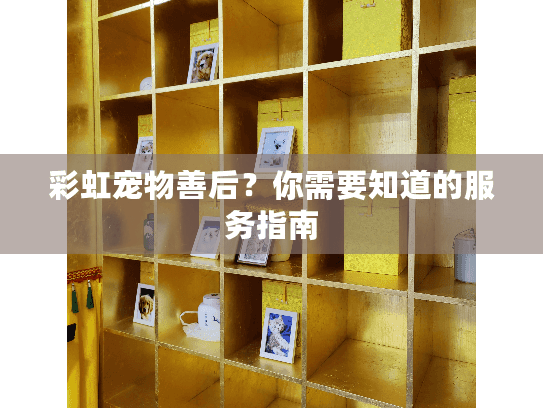 彩虹宠物善后?你需要知道的服务指南 彩虹宠物善后?你需要知道的服务指南