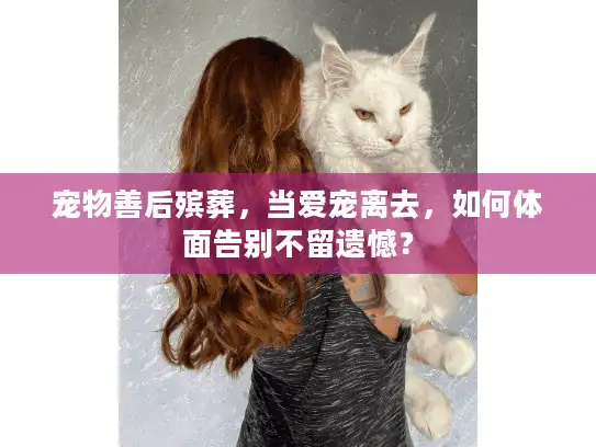 宠物善后殡葬,当爱宠离去,如何体面告别不留遗憾? 宠物善后殡葬,当爱宠离去,如何体面告别不留遗憾?