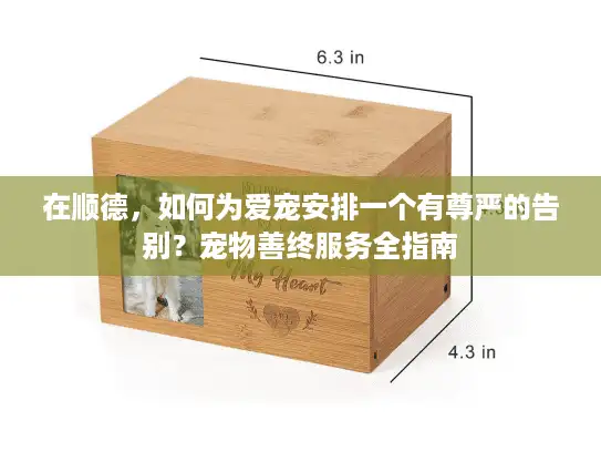在顺德，如何为爱宠安排一个有尊严的告别？宠物善终服务全指南