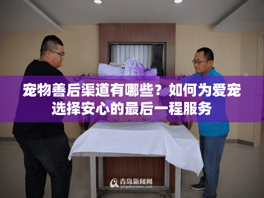 宠物善后渠道有哪些？如何为爱宠选择安心的最后一程服务