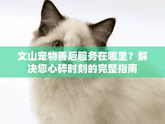 文山宠物善后服务在哪里？解决您心碎时刻的完整指南