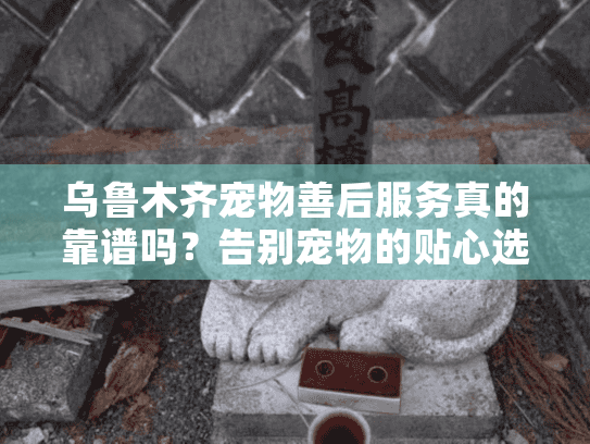 乌鲁木齐宠物善后服务真的靠谱吗？告别宠物的贴心选择指南