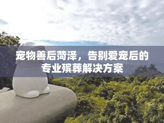 宠物善后菏泽，告别爱宠后的专业殡葬解决方案