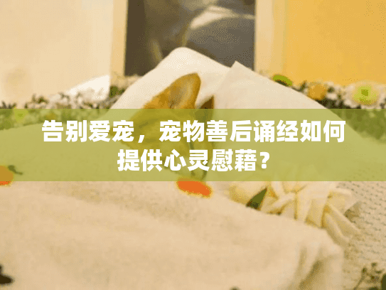 告别爱宠,宠物善后诵经如何提供心灵慰藉? 告别爱宠,宠物善后诵经如何提供心灵慰藉?
