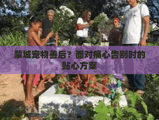 蒙城宠物善后？面对痛心告别时的贴心方案