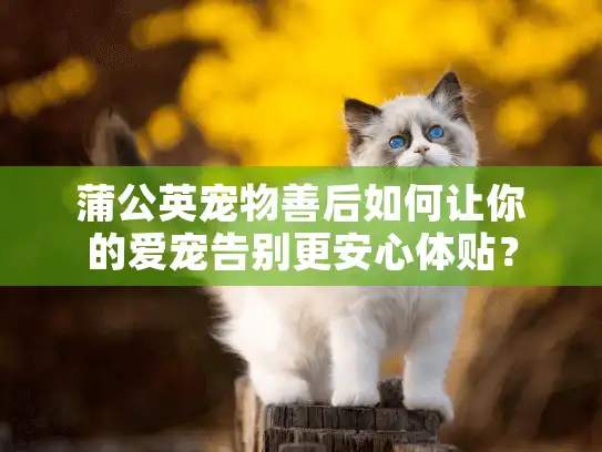 蒲公英宠物善后如何让你的爱宠告别更安心体贴? 蒲公英宠物善后如何让你的爱宠告别更安心体贴?