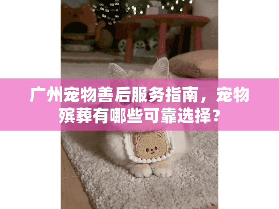 广州宠物善后服务指南,宠物殡葬有哪些可靠选择? 广州宠物善后服务指南,宠物殡葬有哪些可靠选择?