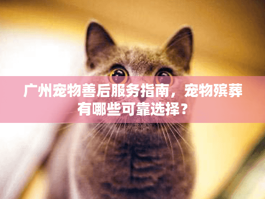 广州宠物善后服务指南,宠物殡葬有哪些可靠选择? 广州宠物善后服务指南,宠物殡葬有哪些可靠选择?