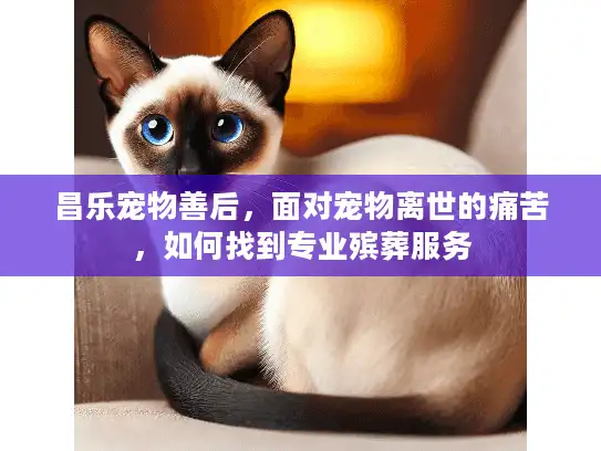 昌乐宠物善后，面对宠物离世的痛苦，如何找到专业殡葬服务