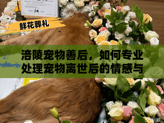 涪陵宠物善后,如何专业处理宠物离世后的情感与事务 涪陵宠物善后,如何专业处理宠物离世后的情感与事务