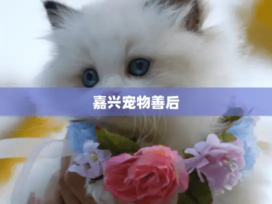 嘉兴宠物善后 嘉兴宠物善后