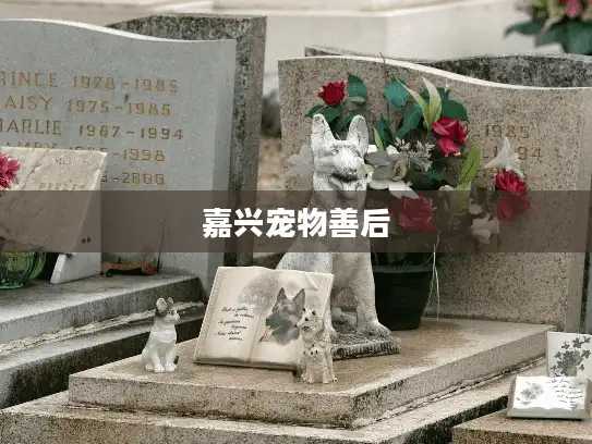 嘉兴宠物善后 嘉兴宠物善后