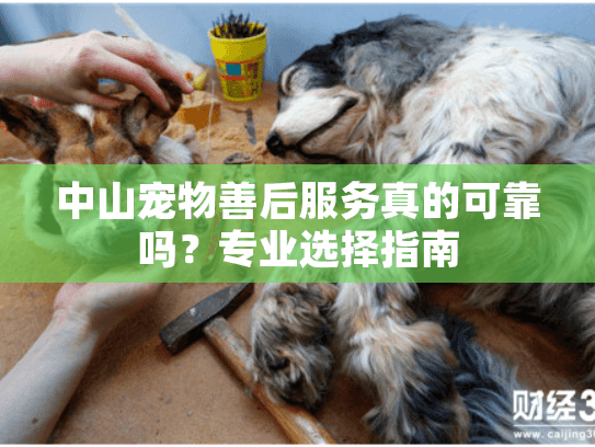 中山宠物善后服务真的可靠吗？专业选择指南