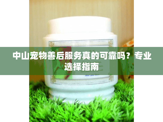 中山宠物善后服务真的可靠吗？专业选择指南