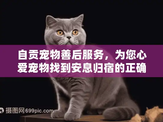 自贡宠物善后服务，为您心爱宠物找到安息归宿的正确方法