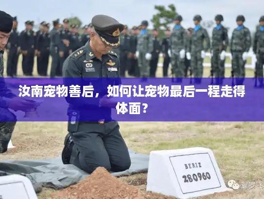 汝南宠物善后，如何让宠物最后一程走得体面？