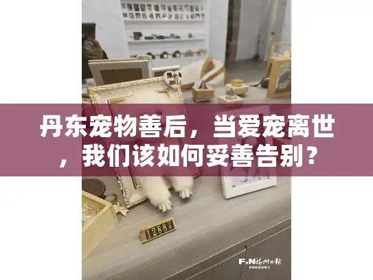 丹东宠物善后，当爱宠离世，我们该如何妥善告别？