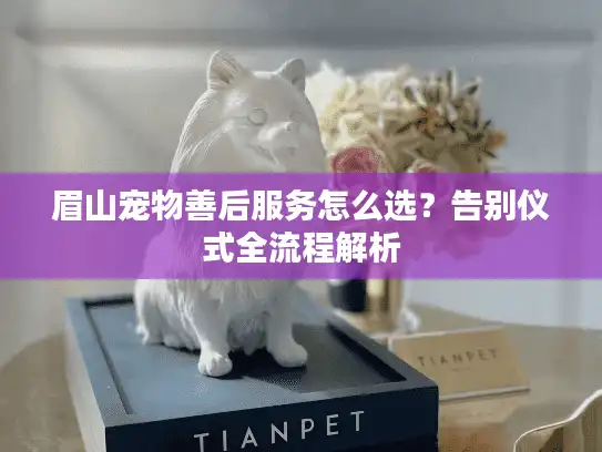 眉山宠物善后服务怎么选？告别仪式全流程解析