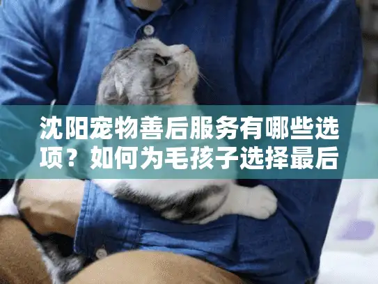 沈阳宠物善后服务有哪些选项？如何为毛孩子选择最后的体面告别？