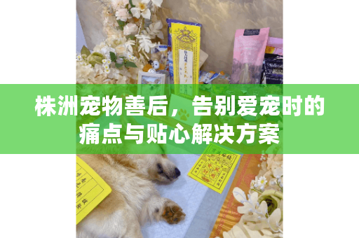 株洲宠物善后,告别爱宠时的痛点与贴心解决方案 株洲宠物善后,告别爱宠时的痛点与贴心解决方案