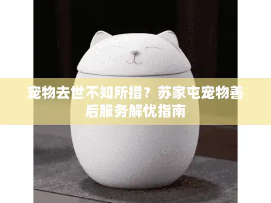 宠物去世不知所措？苏家屯宠物善后服务解忧指南