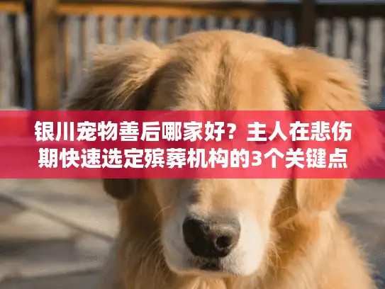 银川宠物善后哪家好?主人在悲伤期快速选定殡葬机构的3个关键点 银川宠物善后哪家好?主人在悲伤期快速选定殡葬机构的3个关键点