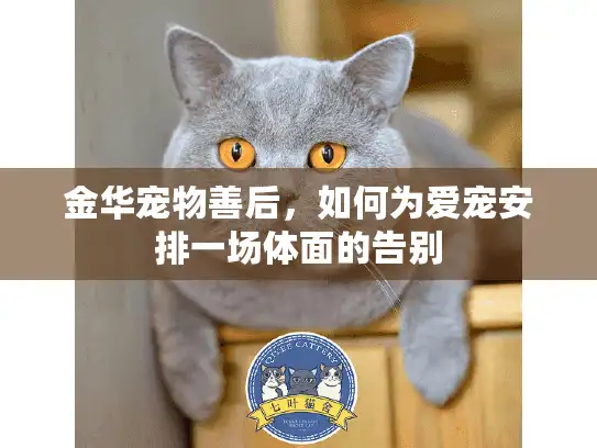 金华宠物善后，如何为爱宠安排一场体面的告别