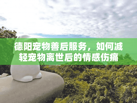 德阳宠物善后服务，如何减轻宠物离世后的情感伤痛