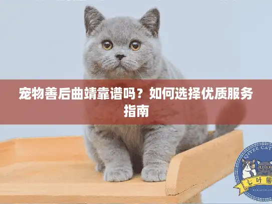 宠物善后曲靖靠谱吗？如何选择优质服务指南