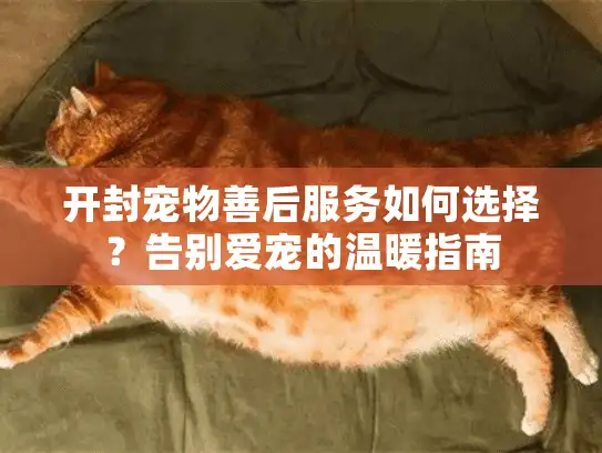 开封宠物善后服务如何选择？告别爱宠的温暖指南