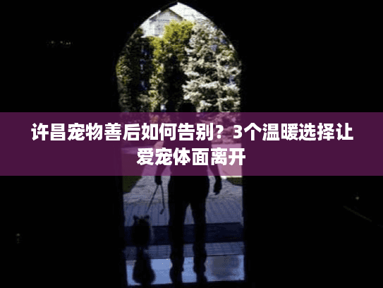 许昌宠物善后如何告别？3个温暖选择让爱宠体面离开