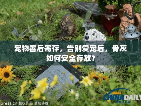 宠物善后寄存，告别爱宠后，骨灰如何安全存放？