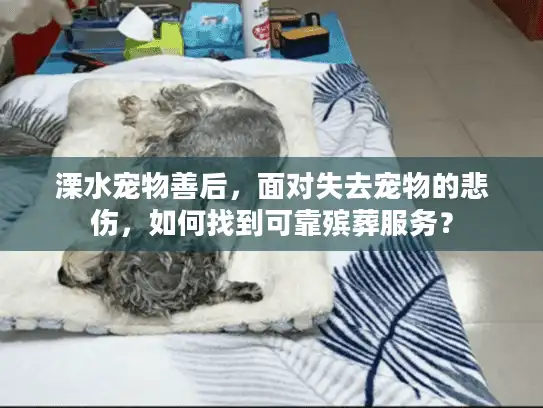 溧水宠物善后,面对失去宠物的悲伤,如何找到可靠殡葬服务? 溧水宠物善后,面对失去宠物的悲伤,如何找到可靠殡葬服务?
