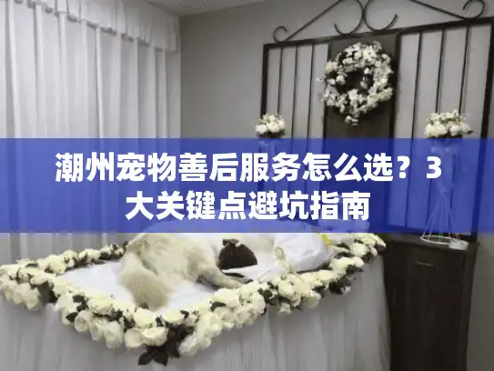 潮州宠物善后服务怎么选？3大关键点避坑指南