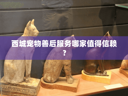 西城宠物善后服务哪家值得信赖？
